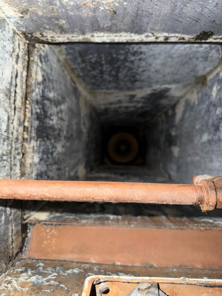 WhatsApp Image 2026-03-03 at 1.30.53 PM (1)