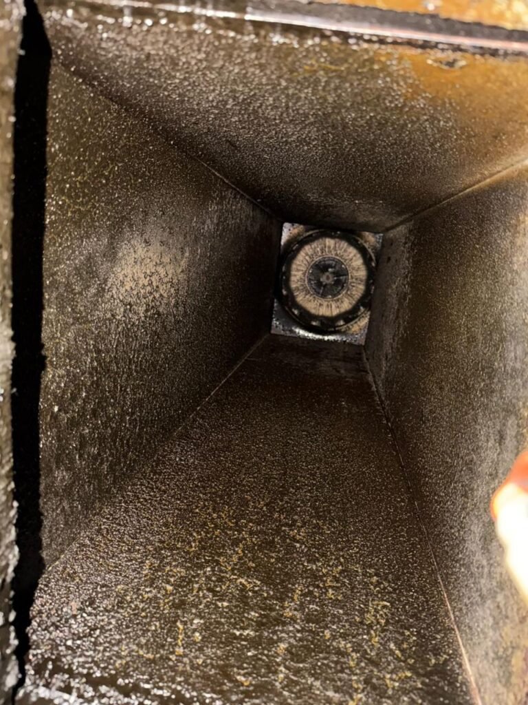 WhatsApp Image 2026-03-03 at 1.30.53 PM