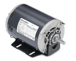 WhatsApp Image 2026-03-03 at 10.54.19 AM